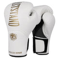Pro Boxing Gloves